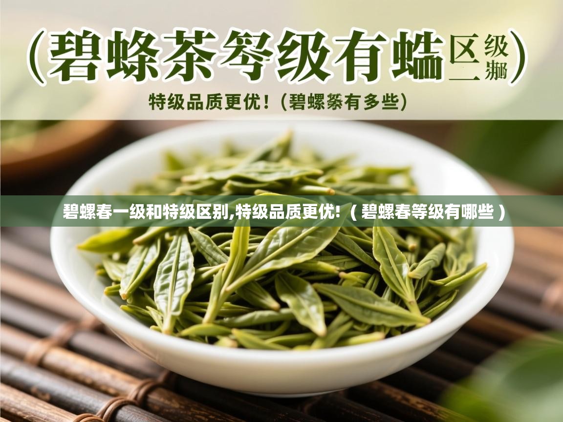 碧螺春一级和特级区别,特级品质更优! ( 碧螺春等级有哪些 ) 碧螺春一级和特级区别,特级品质更优! ( 碧螺春等级有哪些 )
