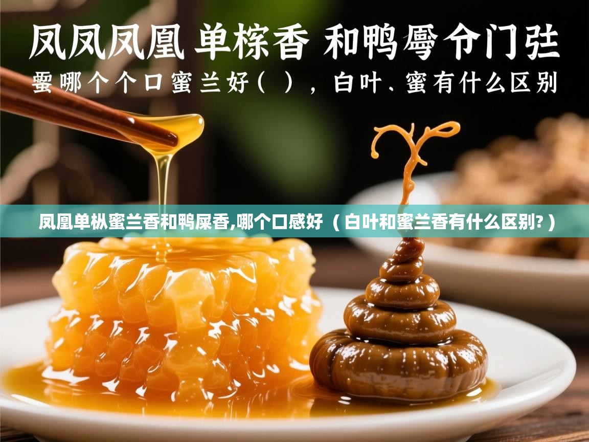 凤凰单枞蜜兰香和鸭屎香,哪个口感好 ( 白叶和蜜兰香有什么区别? ) 凤凰单枞蜜兰香和鸭屎香,哪个口感好 ( 白叶和蜜兰香有什么区别? )