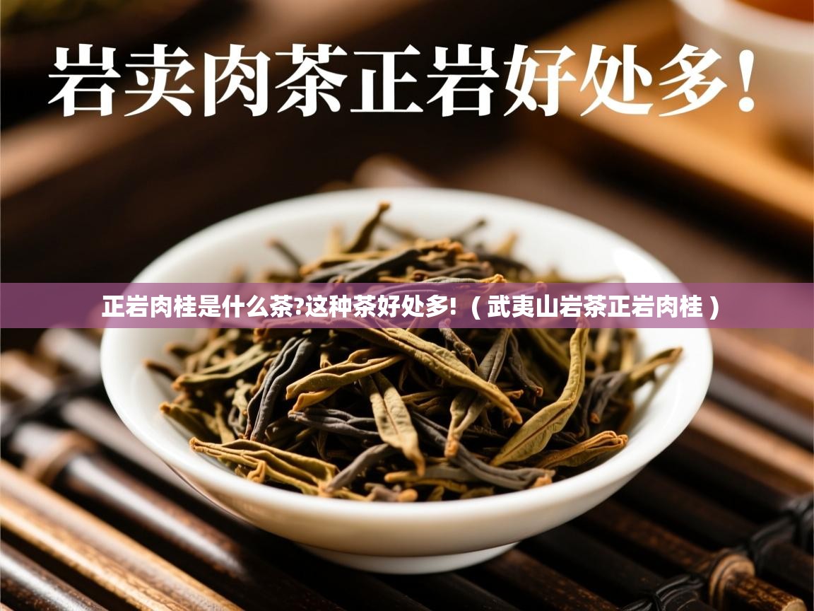  正岩肉桂是什么茶?这种茶好处多!  ( 武夷山岩茶正岩肉桂 )