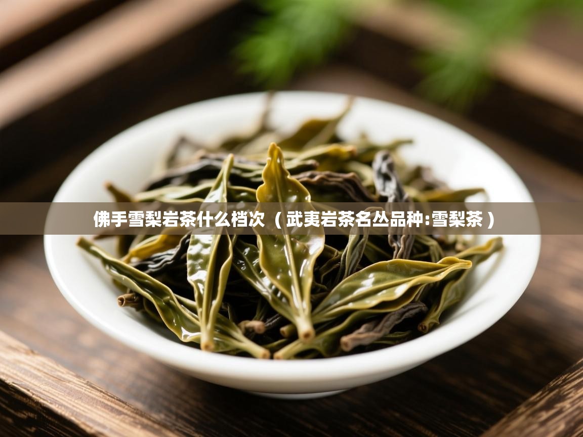 佛手雪梨岩茶什么档次  ( 武夷岩茶名丛品种:雪梨茶 )