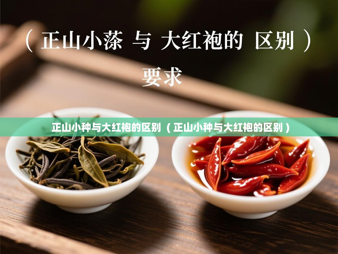  正山小种与大红袍的区别  ( 正山小种与大红袍的区别 )