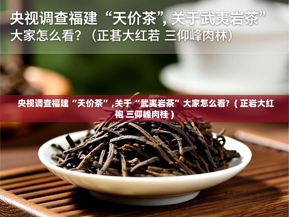 央视调查福建“天价茶”,关于“武夷岩茶”大家怎么看? ( 正岩大红袍 三仰峰肉桂 ) 央视调查福建“天价茶”,关于“武夷岩茶”大家怎么看? ( 正岩大红袍 三仰峰肉桂 )