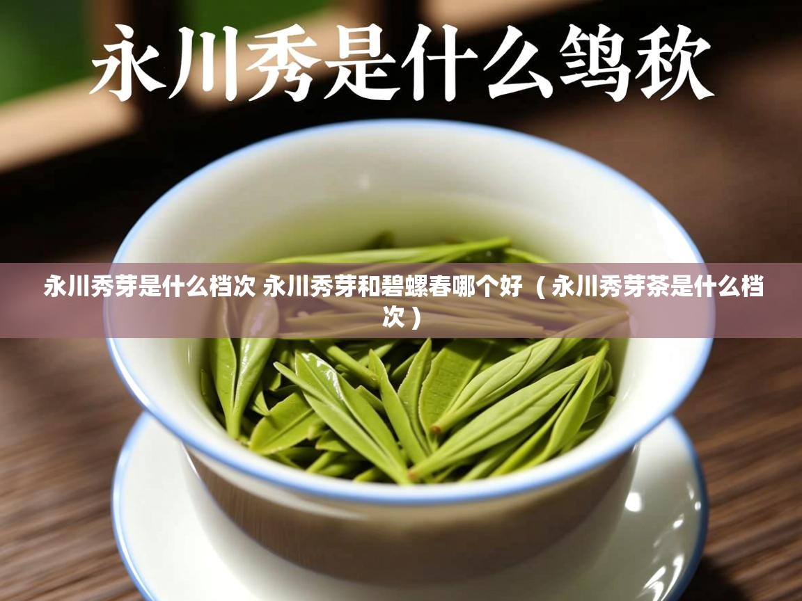  永川秀芽是什么档次 永川秀芽和碧螺春哪个好  ( 永川秀芽茶是什么档次 )