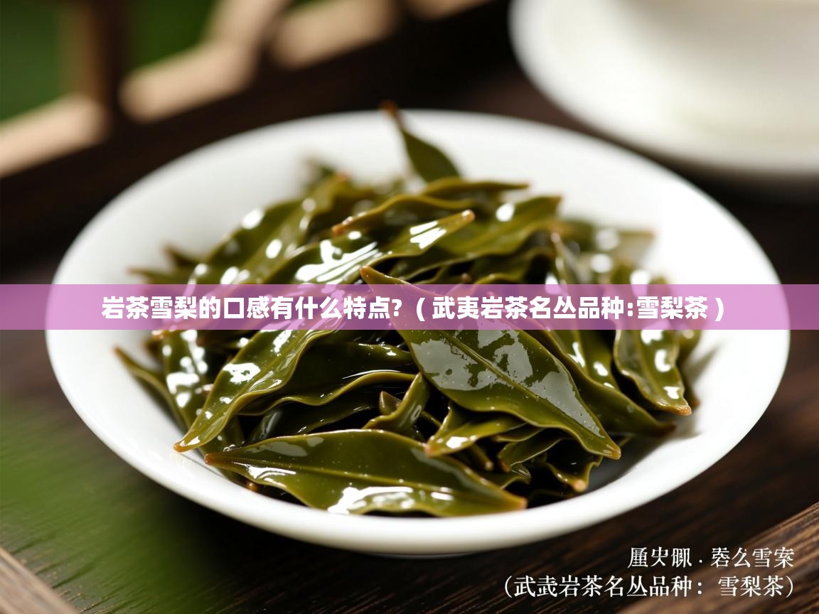  岩茶雪梨的口感有什么特点?  ( 武夷岩茶名丛品种:雪梨茶 )
