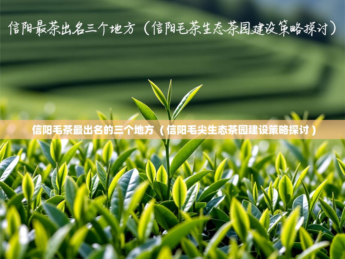  信阳毛茶最出名的三个地方  ( 信阳毛尖生态茶园建设策略探讨 )