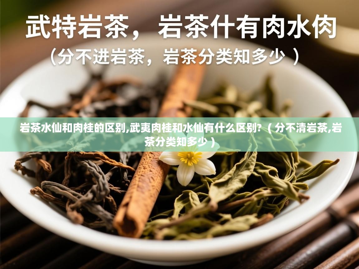  岩茶水仙和肉桂的区别,武夷肉桂和水仙有什么区别?  ( 分不清岩茶,岩茶分类知多少 )
