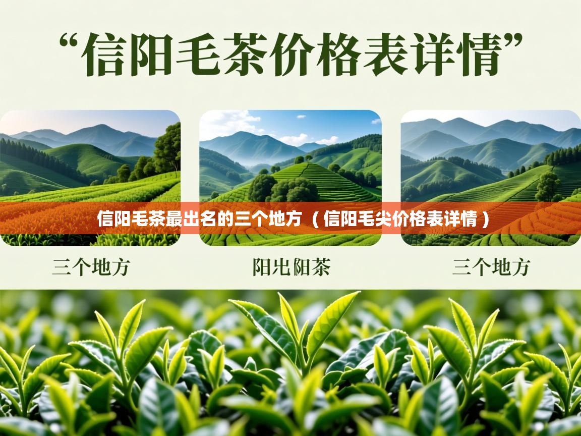 信阳毛茶最出名的三个地方 ( 信阳毛尖价格表详情 ) 信阳毛茶最出名的三个地方 ( 信阳毛尖价格表详情 )
