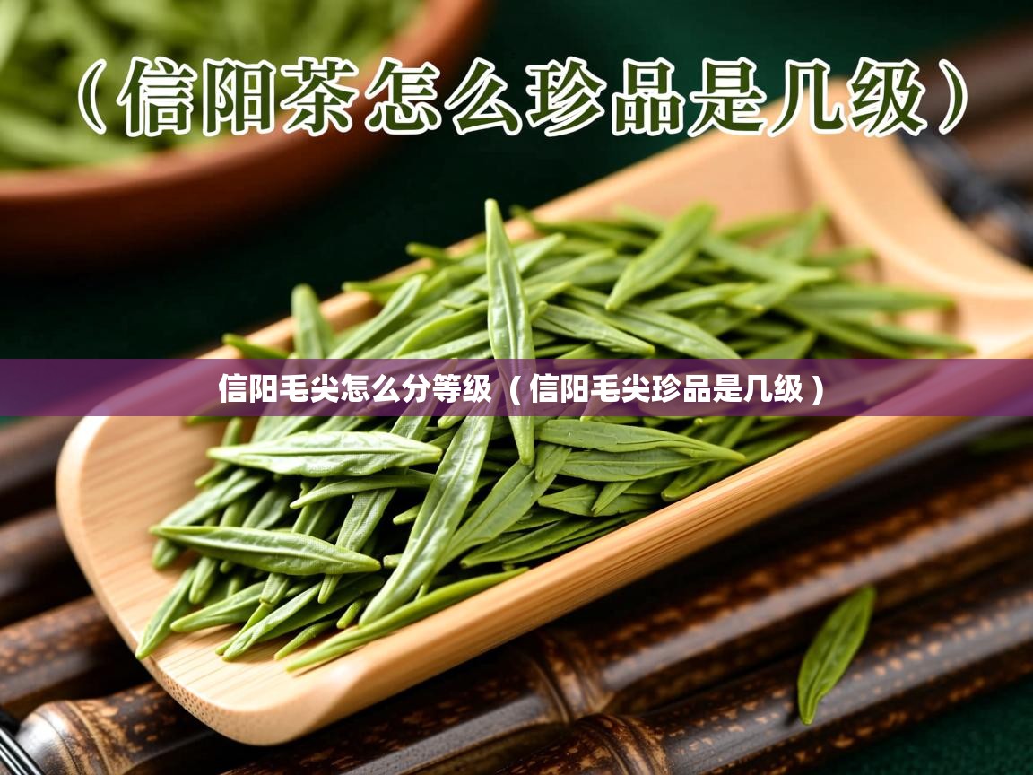 信阳毛尖怎么分等级 ( 信阳毛尖珍品是几级 ) 信阳毛尖怎么分等级 ( 信阳毛尖珍品是几级 )