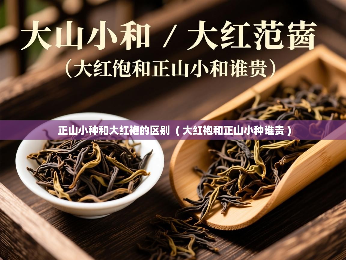  正山小种和大红袍的区别  ( 大红袍和正山小种谁贵 )