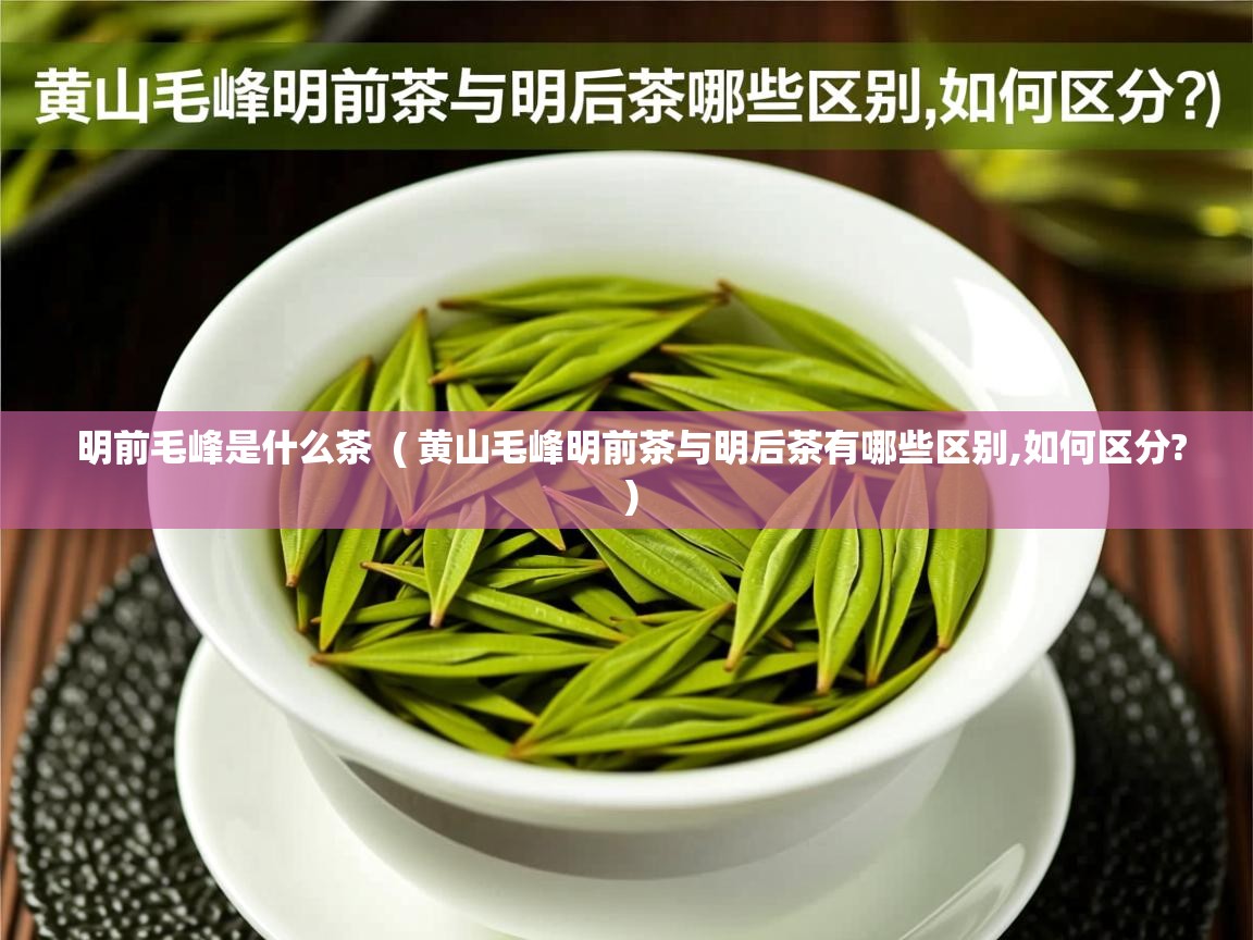 明前毛峰是什么茶 ( 黄山毛峰明前茶与明后茶有哪些区别,如何区分? ) 明前毛峰是什么茶 ( 黄山毛峰明前茶与明后茶有哪些区别,如何区分? )
