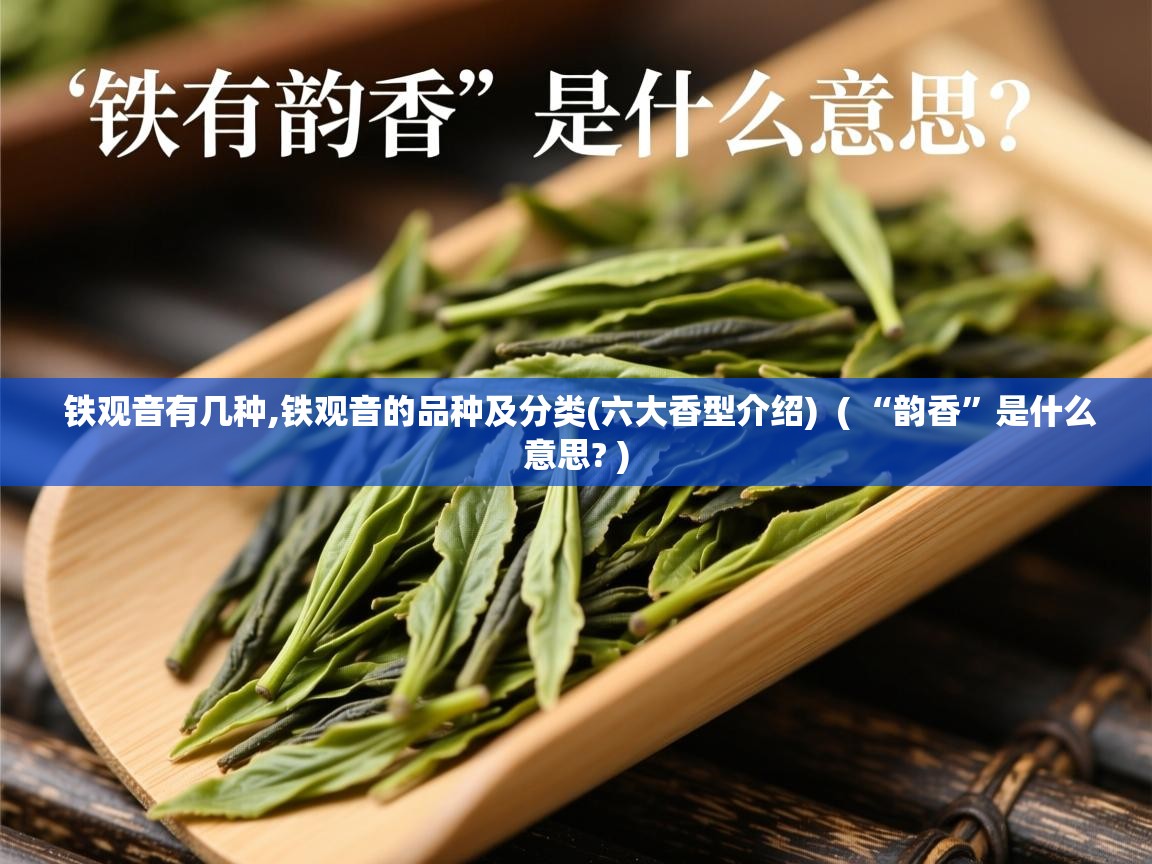  铁观音有几种,铁观音的品种及分类(六大香型介绍)  ( “韵香”是什么意思? )