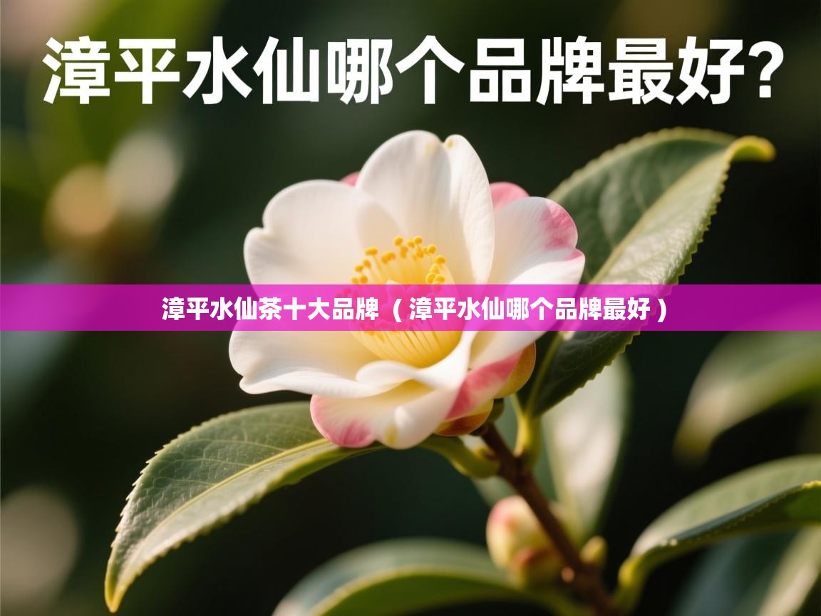  漳平水仙茶十大品牌  ( 漳平水仙哪个品牌最好 )