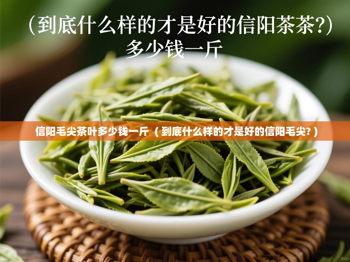 信阳毛尖茶叶多少钱一斤 ( 到底什么样的才是好的信阳毛尖? ) 信阳毛尖茶叶多少钱一斤 ( 到底什么样的才是好的信阳毛尖? )