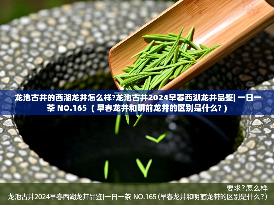  龙池古井的西湖龙井怎么样?龙池古井2024早春西湖龙井品鉴| 一日一茶 NO.165  ( 早春龙井和明前龙井的区别是什么? )