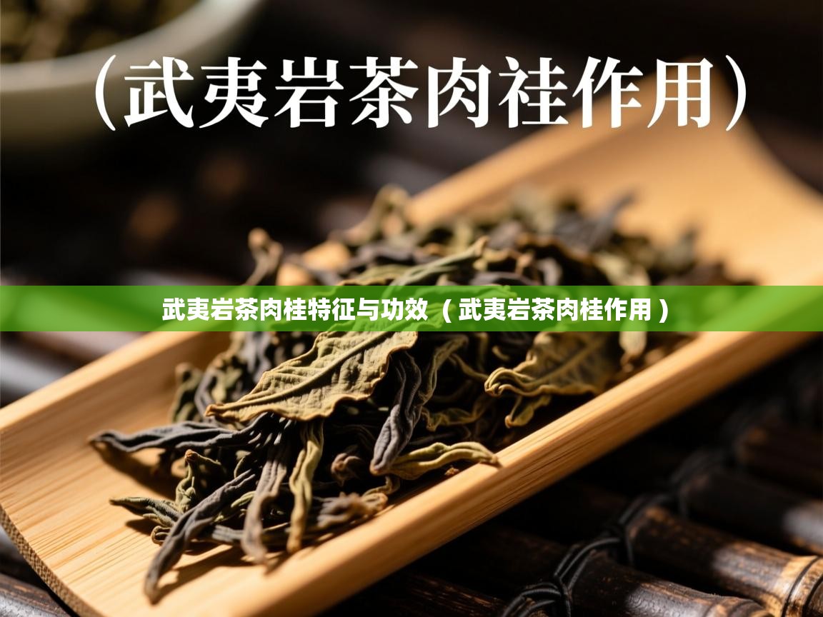 武夷岩茶肉桂特征与功效 ( 武夷岩茶肉桂作用 ) 武夷岩茶肉桂特征与功效 ( 武夷岩茶肉桂作用 )
