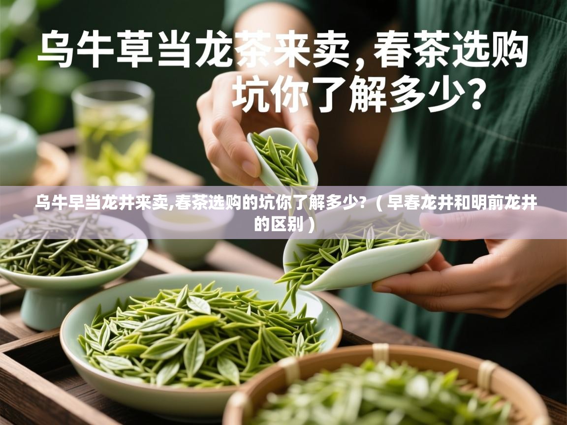 乌牛早当龙井来卖,春茶选购的坑你了解多少? ( 早春龙井和明前龙井的区别 ) 乌牛早当龙井来卖,春茶选购的坑你了解多少? ( 早春龙井和明前龙井的区别 )