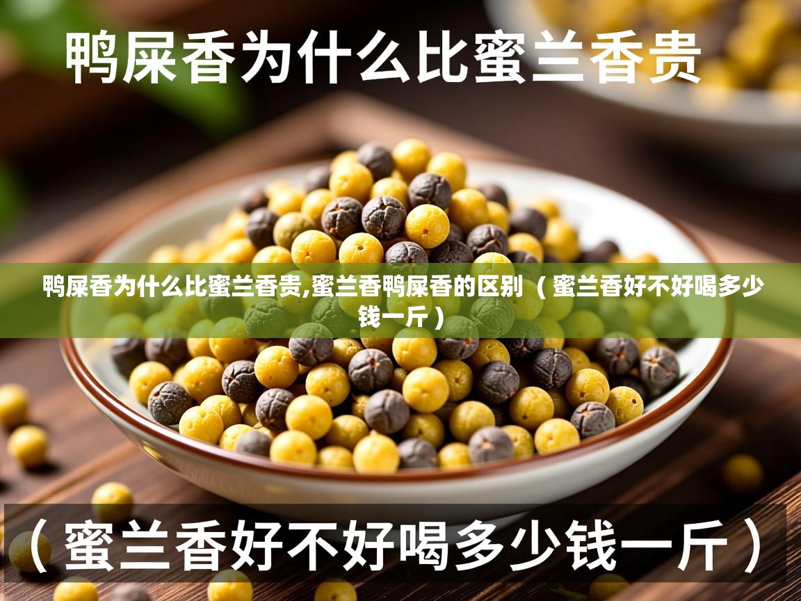  鸭屎香为什么比蜜兰香贵,蜜兰香鸭屎香的区别  ( 蜜兰香好不好喝多少钱一斤 )