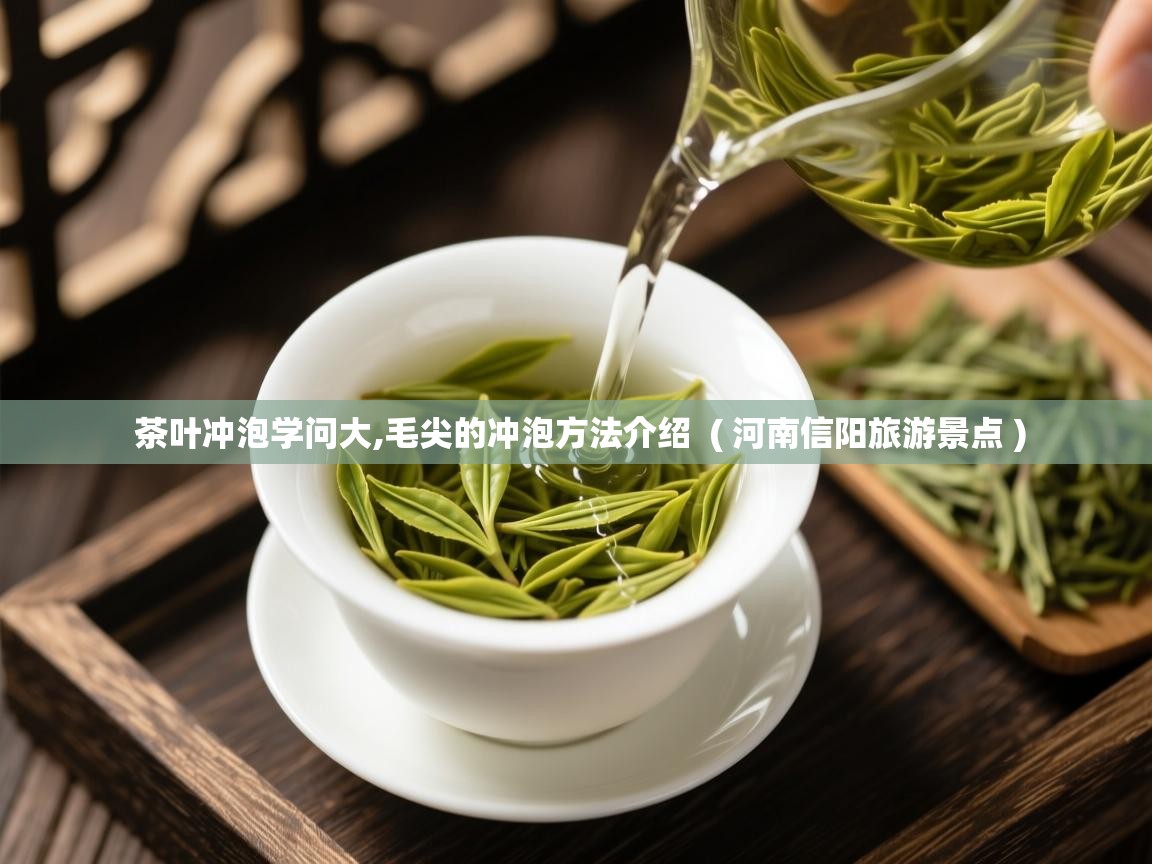  茶叶冲泡学问大,毛尖的冲泡方法介绍  ( 河南信阳旅游景点 )