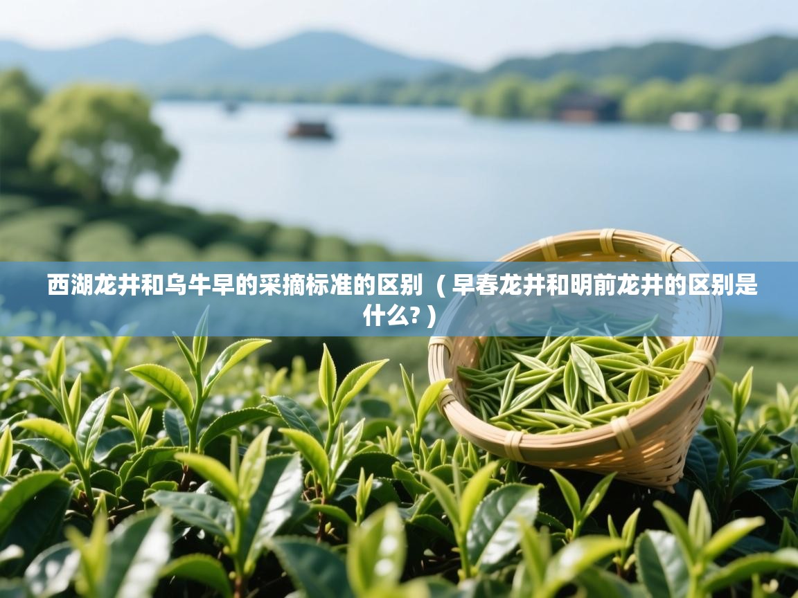 西湖龙井和乌牛早的采摘标准的区别 ( 早春龙井和明前龙井的区别是什么? ) 西湖龙井和乌牛早的采摘标准的区别 ( 早春龙井和明前龙井的区别是什么? )