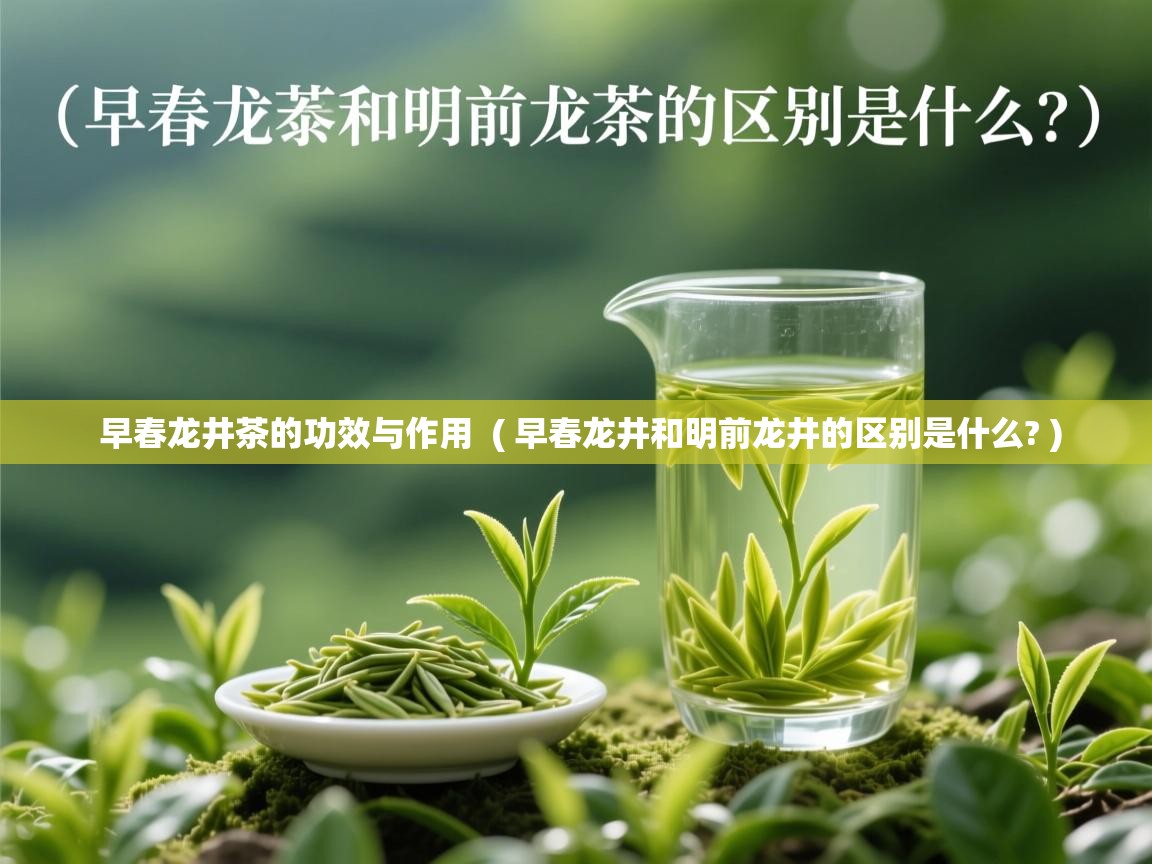 早春龙井茶的功效与作用 ( 早春龙井和明前龙井的区别是什么? ) 早春龙井茶的功效与作用 ( 早春龙井和明前龙井的区别是什么? )