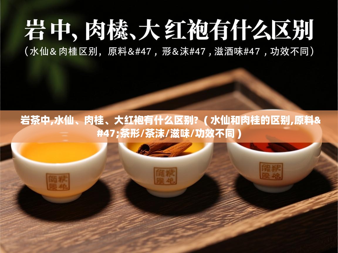 岩茶中,水仙、肉桂、大红袍有什么区别? ( 水仙和肉桂的区别,原料/茶形/茶沫/滋味/功效不同 ) 岩茶中,水仙、肉桂、大红袍有什么区别? ( 水仙和肉桂的区别,原料/茶形/茶沫/滋味/功效不同 )