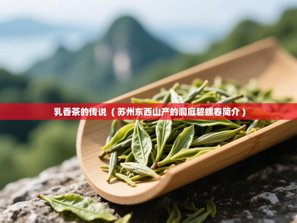 乳香茶的传说 ( 苏州东西山产的洞庭碧螺春简介 ) 乳香茶的传说 ( 苏州东西山产的洞庭碧螺春简介 )