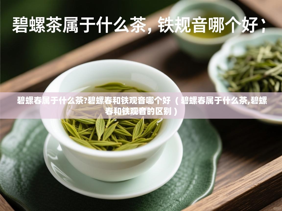 碧螺春属于什么茶?碧螺春和铁观音哪个好 ( 碧螺春属于什么茶,碧螺春和铁观音的区别 ) 碧螺春属于什么茶?碧螺春和铁观音哪个好 ( 碧螺春属于什么茶,碧螺春和铁观音的区别 )