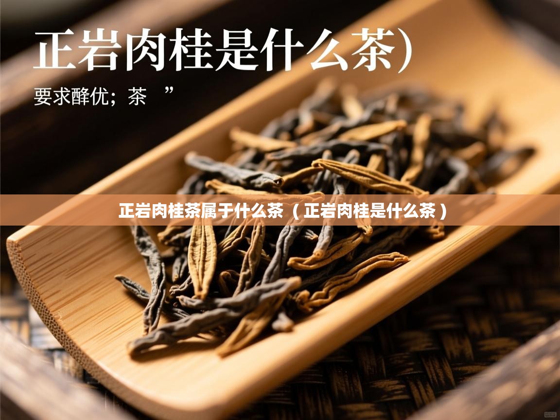 正岩肉桂茶属于什么茶 ( 正岩肉桂是什么茶 ) 正岩肉桂茶属于什么茶 ( 正岩肉桂是什么茶 )