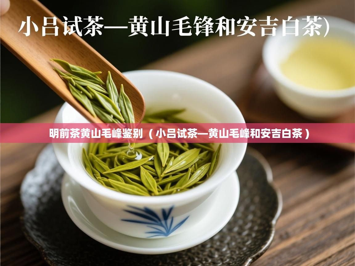 明前茶黄山毛峰鉴别 ( 小吕试茶—黄山毛峰和安吉白茶 ) 明前茶黄山毛峰鉴别 ( 小吕试茶—黄山毛峰和安吉白茶 )