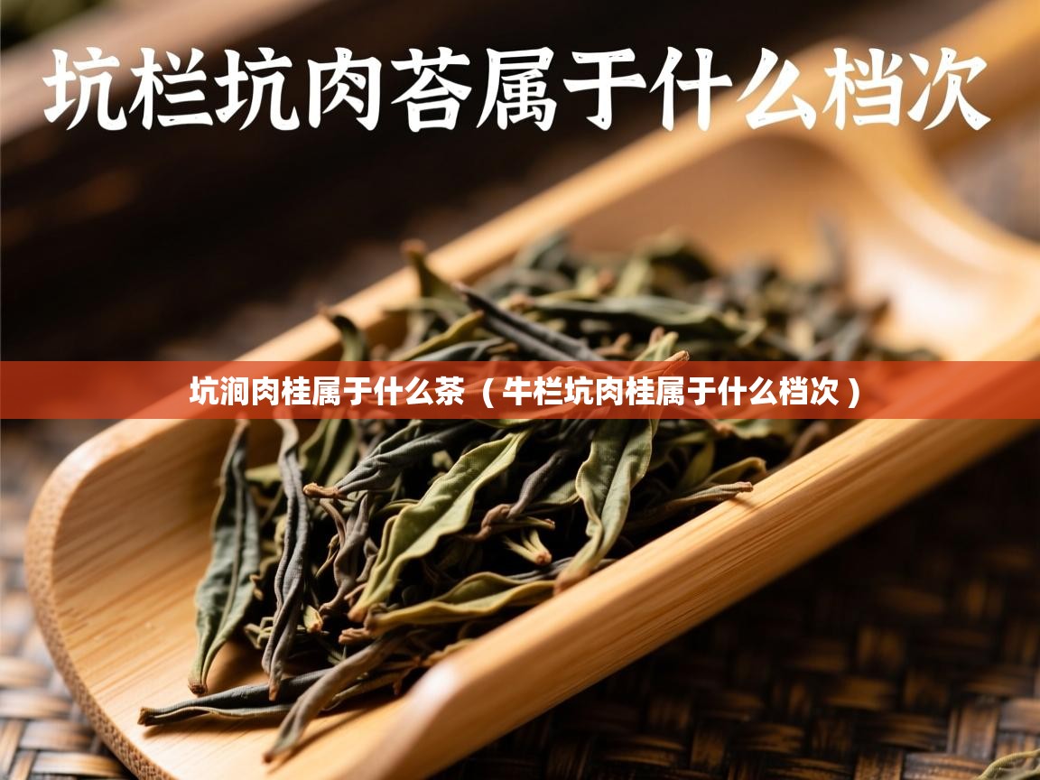 坑涧肉桂属于什么茶 ( 牛栏坑肉桂属于什么档次 ) 坑涧肉桂属于什么茶 ( 牛栏坑肉桂属于什么档次 )