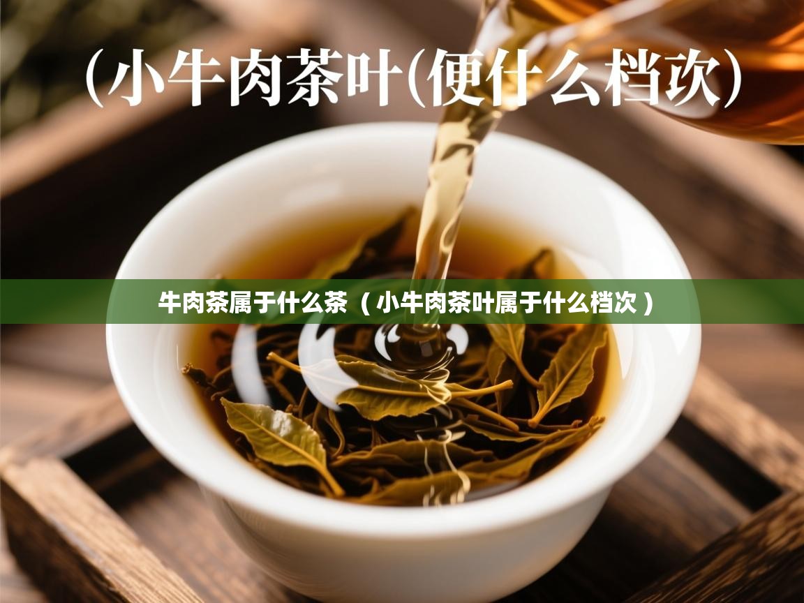  牛肉茶属于什么茶  ( 小牛肉茶叶属于什么档次 )