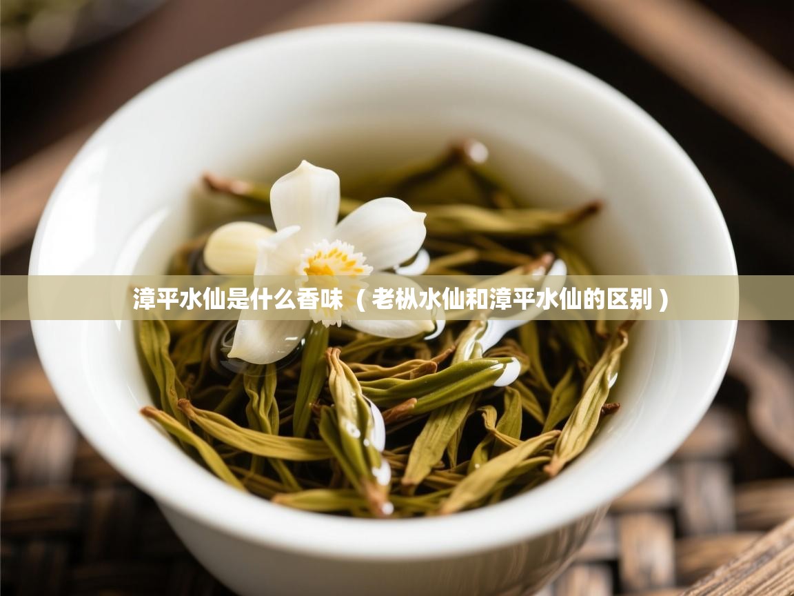  漳平水仙是什么香味  ( 老枞水仙和漳平水仙的区别 )