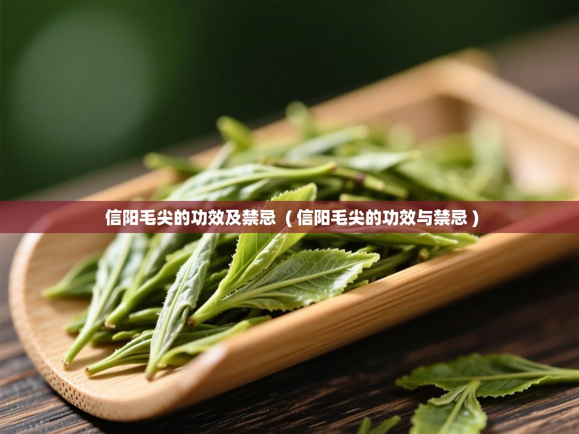 信阳毛尖的功效及禁忌 ( 信阳毛尖的功效与禁忌 ) 信阳毛尖的功效及禁忌 ( 信阳毛尖的功效与禁忌 )