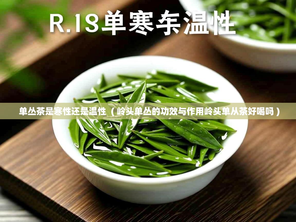 单丛茶是寒性还是温性 ( 岭头单丛的功效与作用岭头单从茶好喝吗 ) 单丛茶是寒性还是温性 ( 岭头单丛的功效与作用岭头单从茶好喝吗 )
