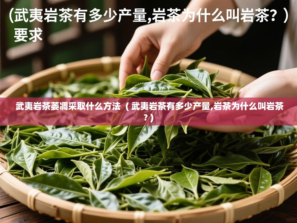 武夷岩茶萎凋采取什么方法 ( 武夷岩茶有多少产量,岩茶为什么叫岩茶? ) 武夷岩茶萎凋采取什么方法 ( 武夷岩茶有多少产量,岩茶为什么叫岩茶? )