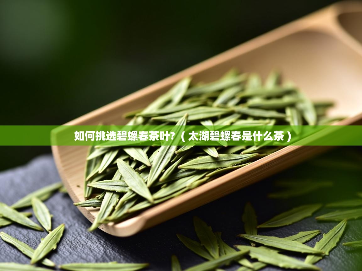 如何挑选碧螺春茶叶? ( 太湖碧螺春是什么茶 ) 如何挑选碧螺春茶叶? ( 太湖碧螺春是什么茶 )