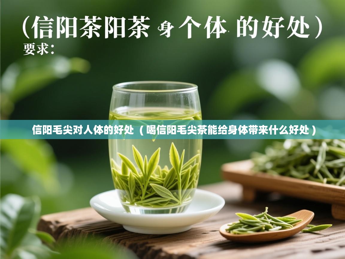 信阳毛尖对人体的好处 ( 喝信阳毛尖茶能给身体带来什么好处 ) 信阳毛尖对人体的好处 ( 喝信阳毛尖茶能给身体带来什么好处 )