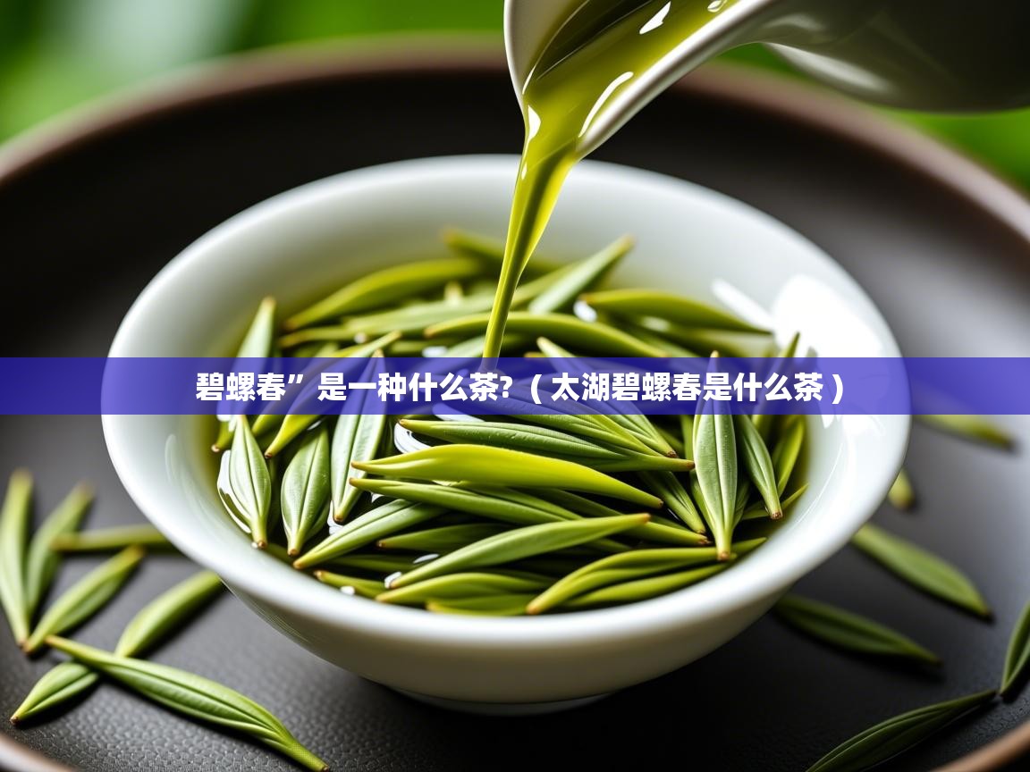 碧螺春”是一种什么茶? ( 太湖碧螺春是什么茶 ) 碧螺春”是一种什么茶? ( 太湖碧螺春是什么茶 )