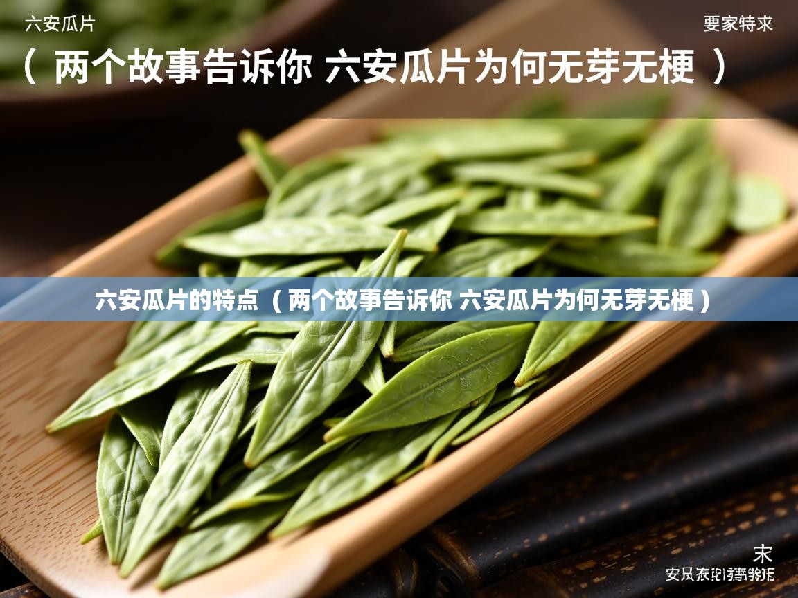 六安瓜片的特点 ( 两个故事告诉你 六安瓜片为何无芽无梗 ) 六安瓜片的特点 ( 两个故事告诉你 六安瓜片为何无芽无梗 )