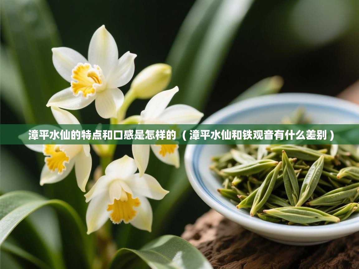  漳平水仙的特点和口感是怎样的  ( 漳平水仙和铁观音有什么差别 )