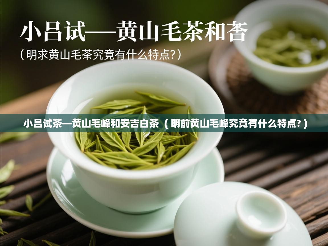 小吕试茶—黄山毛峰和安吉白茶 ( 明前黄山毛峰究竟有什么特点? ) 小吕试茶—黄山毛峰和安吉白茶 ( 明前黄山毛峰究竟有什么特点? )