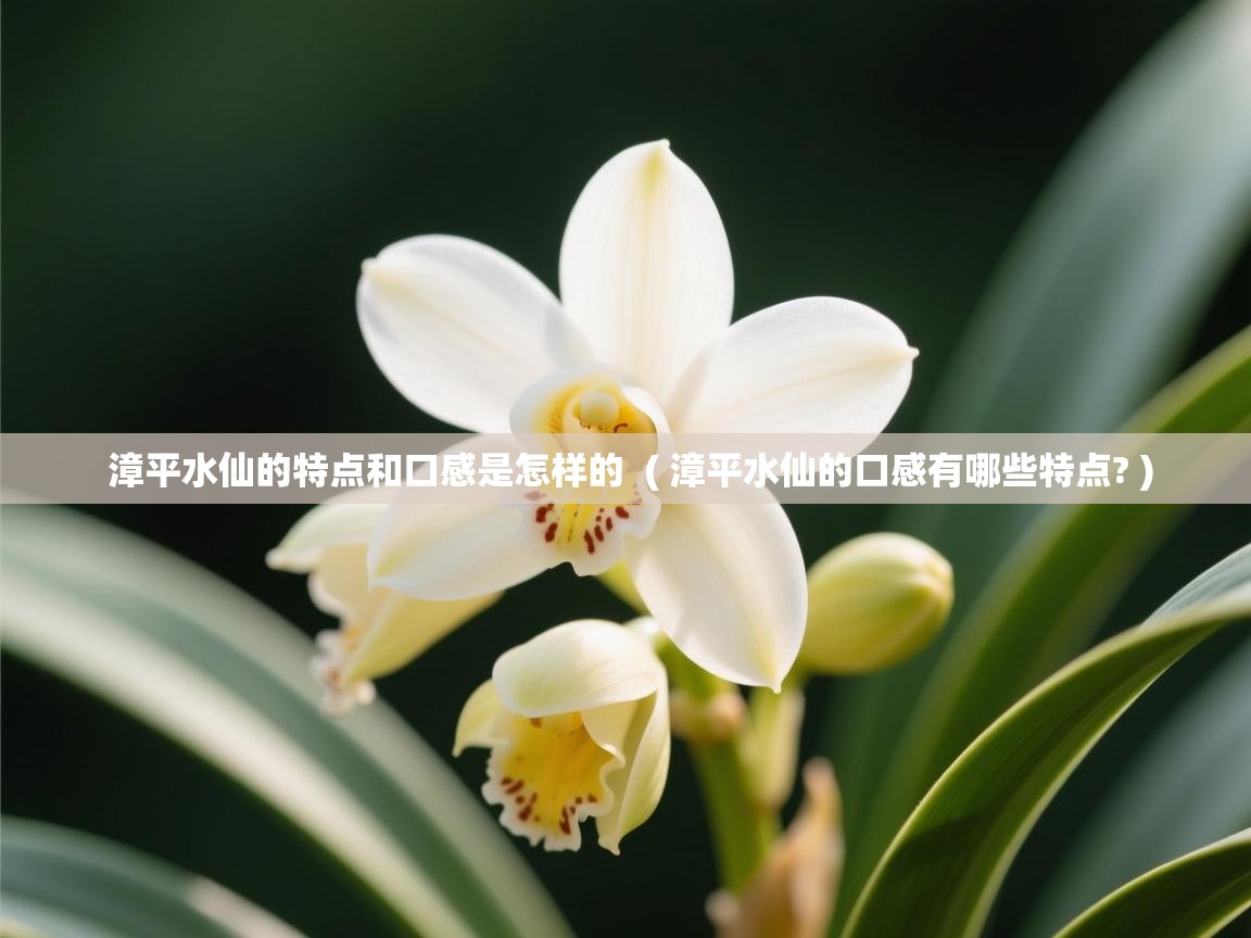  漳平水仙的特点和口感是怎样的  ( 漳平水仙的口感有哪些特点? )