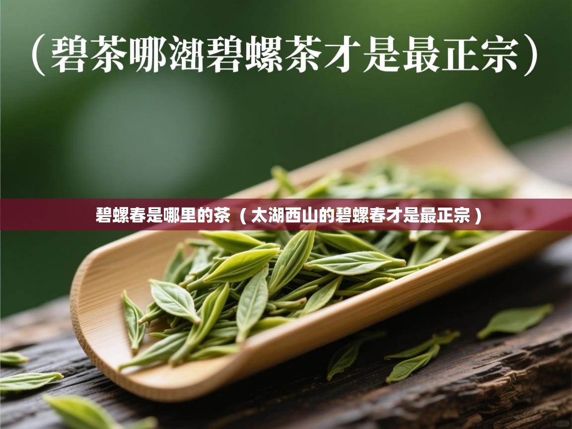  碧螺春是哪里的茶  ( 太湖西山的碧螺春才是最正宗 )