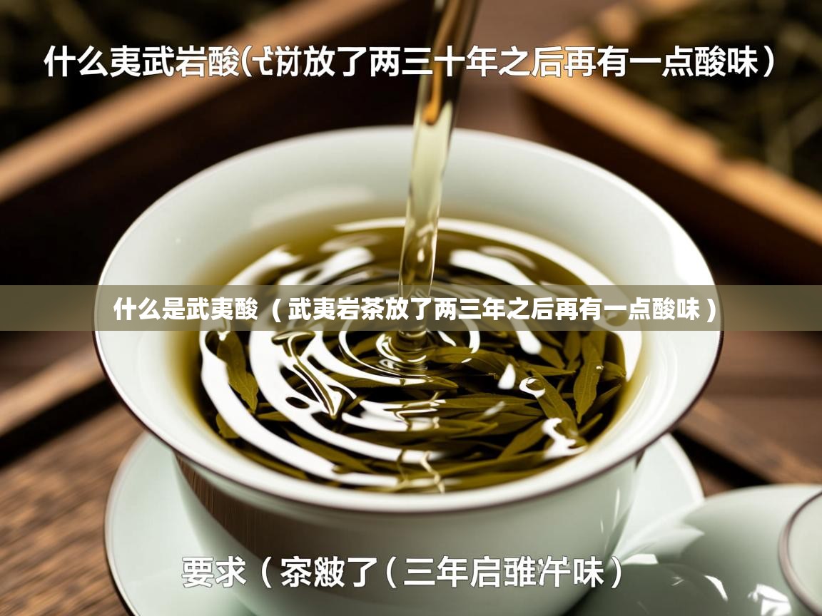  什么是武夷酸  ( 武夷岩茶放了两三年之后再有一点酸味 )