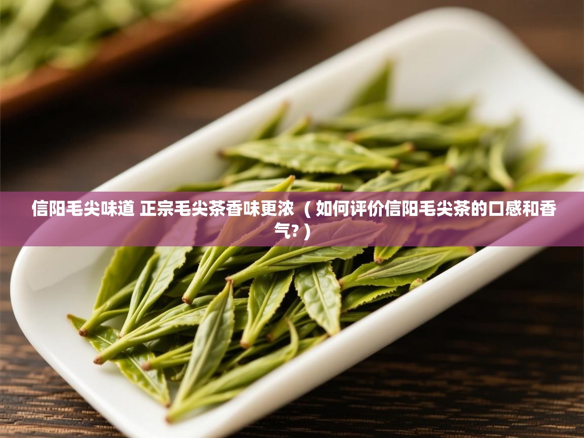 信阳毛尖味道 正宗毛尖茶香味更浓 ( 如何评价信阳毛尖茶的口感和香气? ) 信阳毛尖味道 正宗毛尖茶香味更浓 ( 如何评价信阳毛尖茶的口感和香气? )