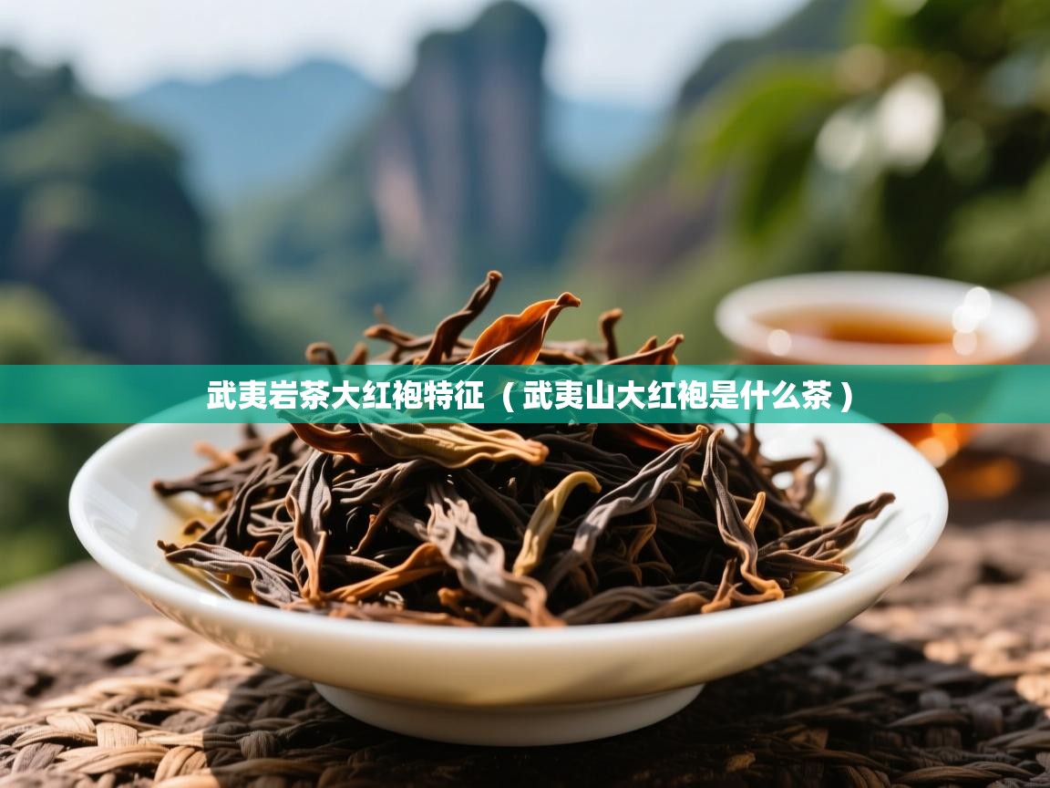  武夷岩茶大红袍特征  ( 武夷山大红袍是什么茶 )