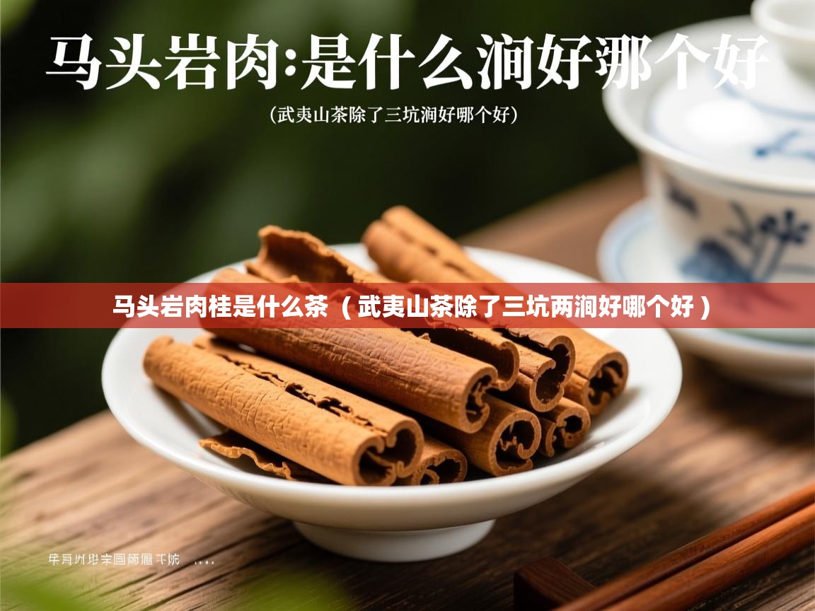 马头岩肉桂是什么茶 ( 武夷山茶除了三坑两涧好哪个好 ) 马头岩肉桂是什么茶 ( 武夷山茶除了三坑两涧好哪个好 )