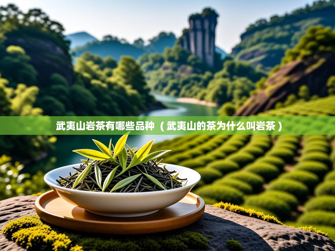  武夷山岩茶有哪些品种  ( 武夷山的茶为什么叫岩茶 )