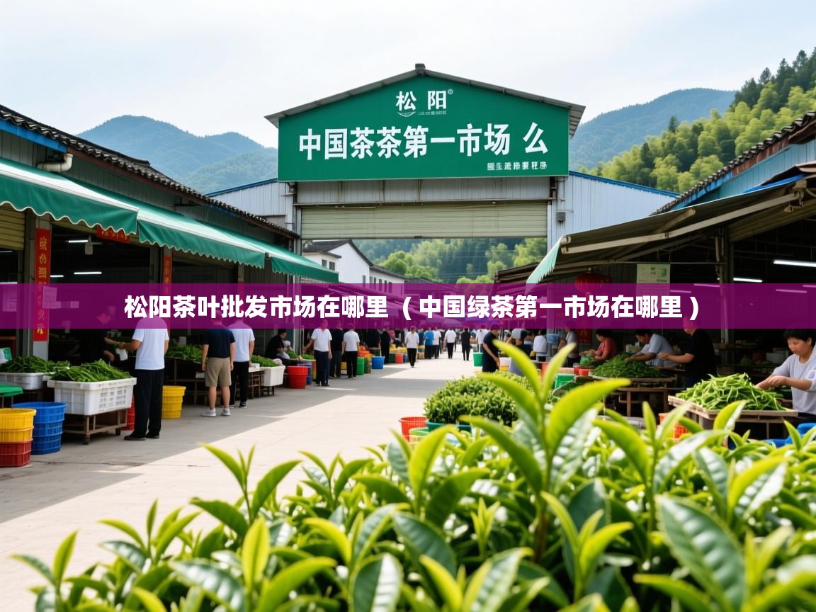  松阳茶叶批发市场在哪里  ( 中国绿茶第一市场在哪里 )
