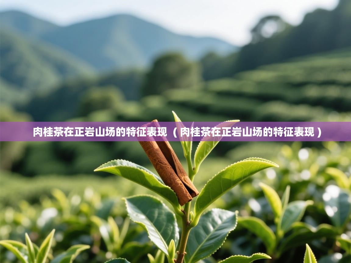 肉桂茶在正岩山场的特征表现 ( 肉桂茶在正岩山场的特征表现 ) 肉桂茶在正岩山场的特征表现 ( 肉桂茶在正岩山场的特征表现 )